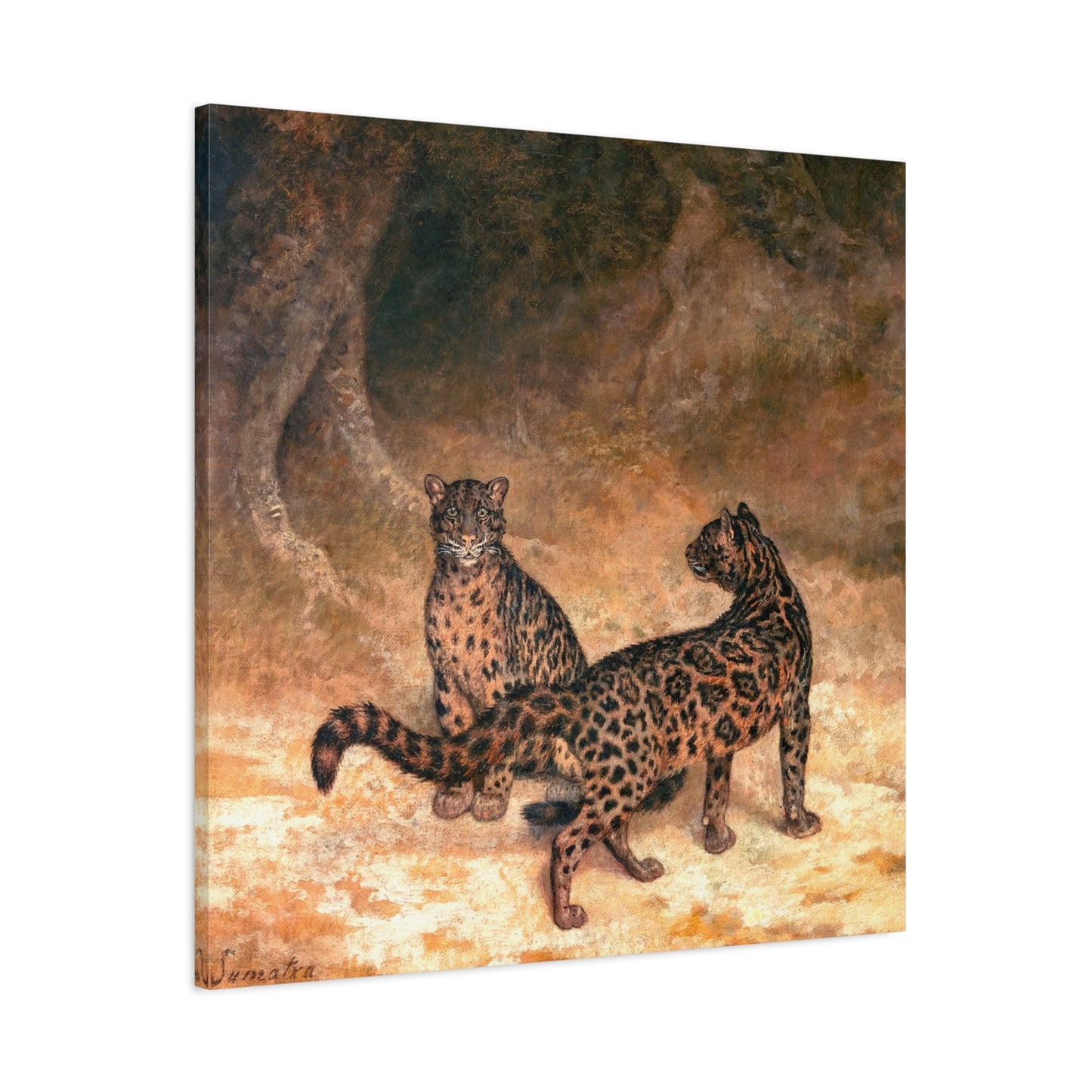 Canvas ~ Clouded Leopards (Jacques-Laurent Agasse 1825)